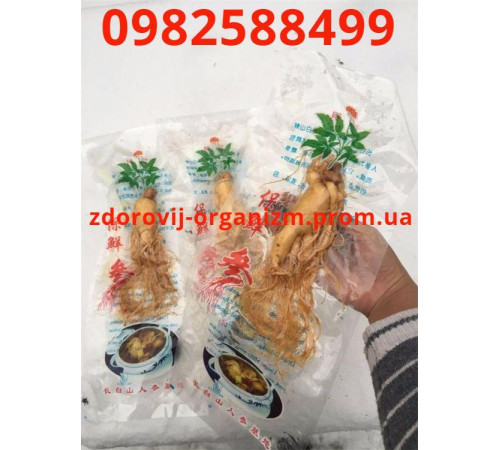 Корінь женьшеню цілісний справжній 150 грам