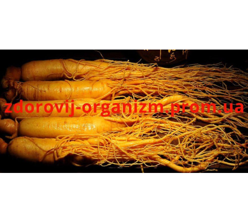 Корінь женьшеню цілісний справжній 150 грам