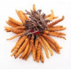 Кордіцепс королівський Cordyceps 100 шт