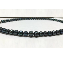 Намисто Перли Чорне Червоне Моря Єгипетський Схід морський