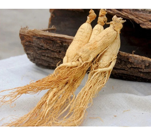 Сухий корінь женьшеню справжній Китай набір 55 грамів