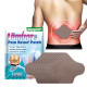 Ортопедичний пластир для хребта з турмаліном Pain Relief Plaster 12 штук