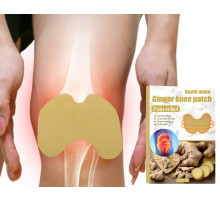 Ортопедичний турмаліновий пластир, що зігріває знеболювальний з Імбиром 12 штук