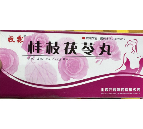 Гуйчжі Фулін Вань GuiZhi Fuling Wan пилюлі для терапії гінекологічних недуг широкого спектра