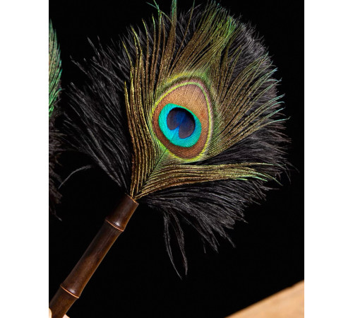 Амулет із павичого пір'я й бамбука Захист багатства від Зірки 7