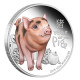 Посрібнена монета Свиняча для активації любові, удачі, грошей