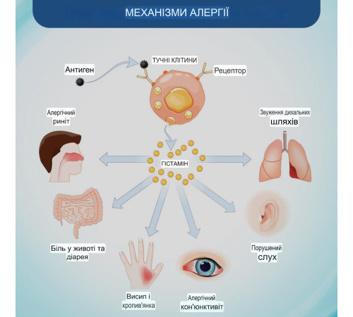 Крем проти алергії NOVOLAN протиалергічний мазь проти свербіння шкіри, укусів комах, грибкових інфекцій 20 грамів