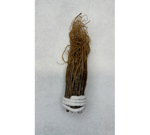 Сухий корінь женьшеню 10 років справжній Китай набір 20-25 грамів