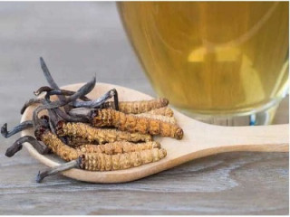 Кордицепс - це медичний китайський гриб, який володіє широким спектром дії.